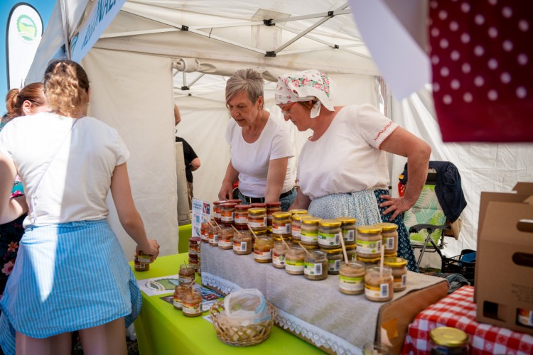 Zámecký areál provoněl Festival plný chutí (foto 1)